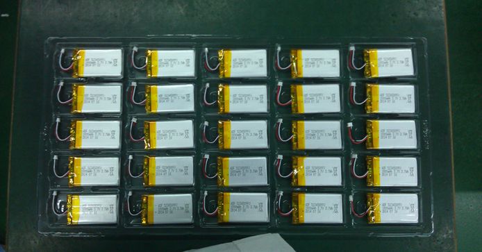 Lithium polymer battery